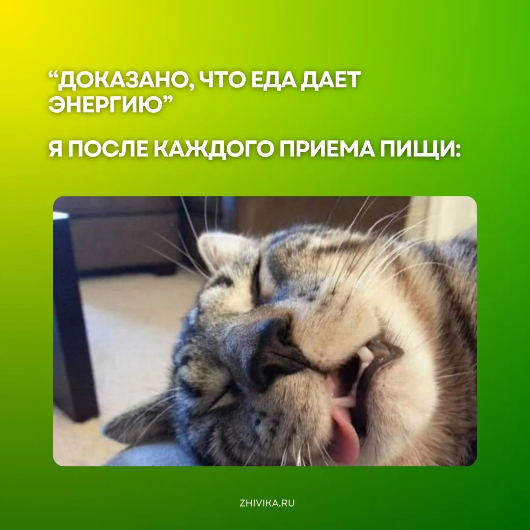 Что будет с организмом, если просто походить 10 минут после еды? 🚶‍♀️