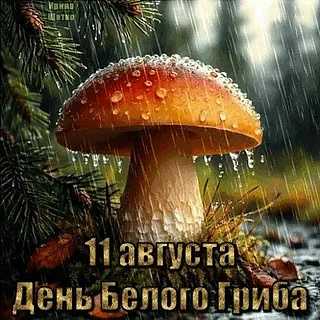 Сегодня старшая группа отметила необычный праздник - День белого гриба.