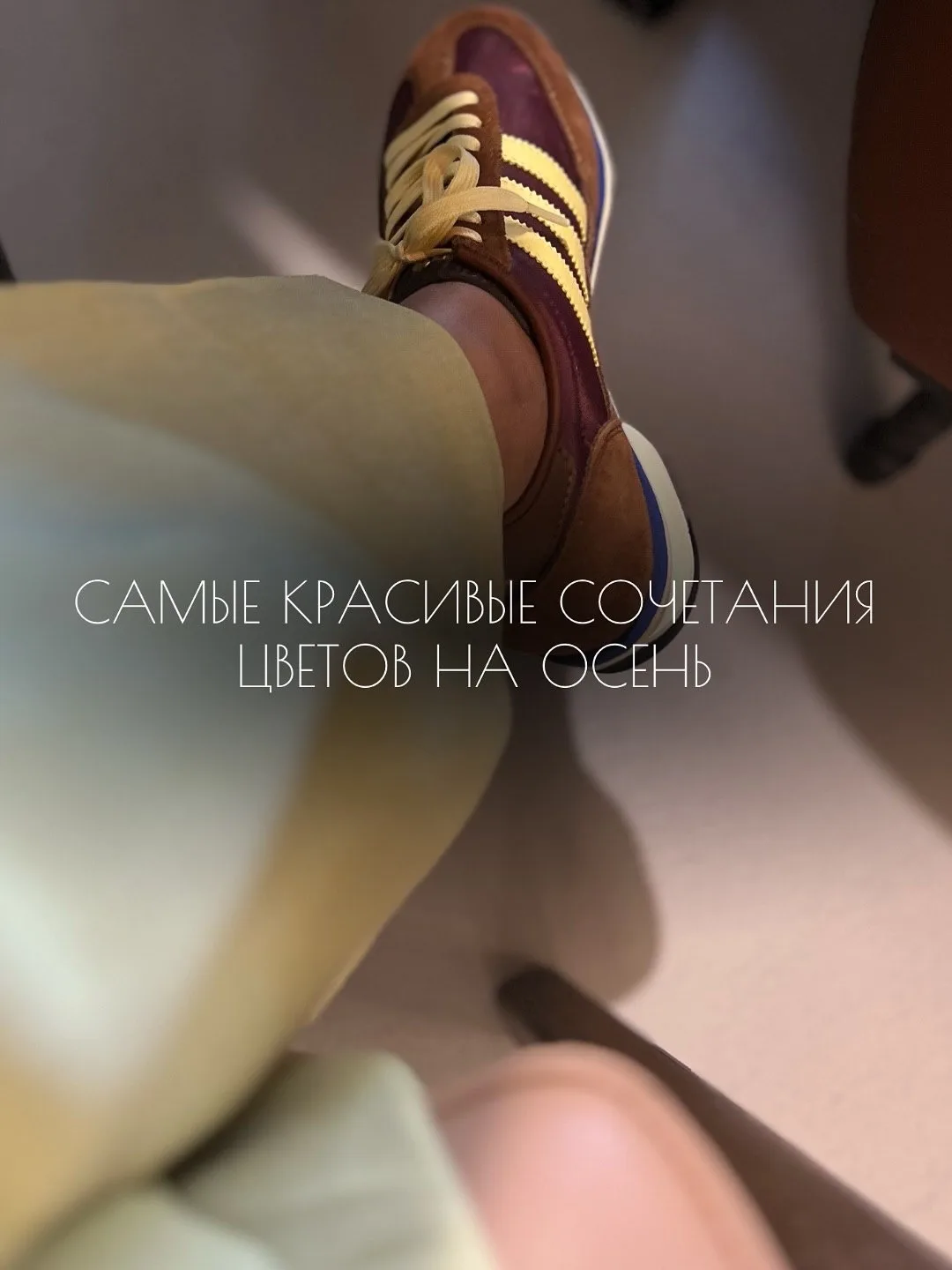 🎨 Цветовые сочетания, которые делают образ дороже