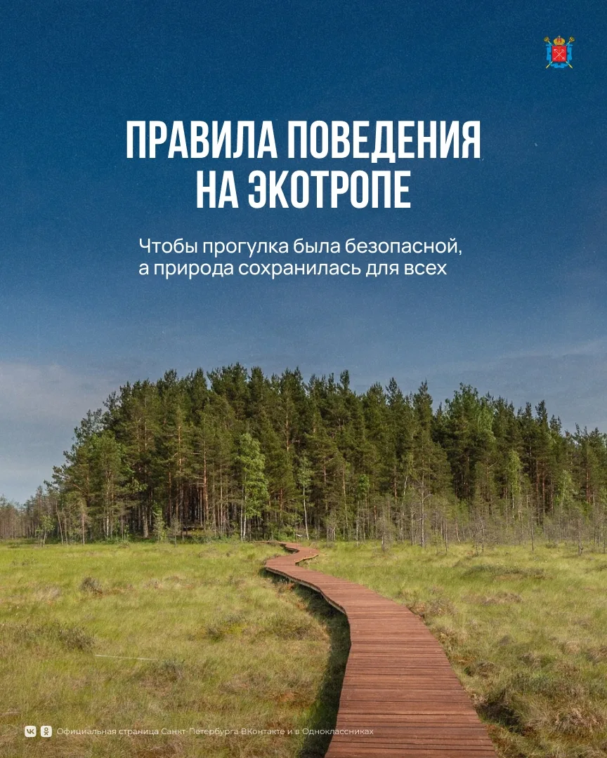 Летом экотропы становятся одним из самых популярных мест для прогулок.