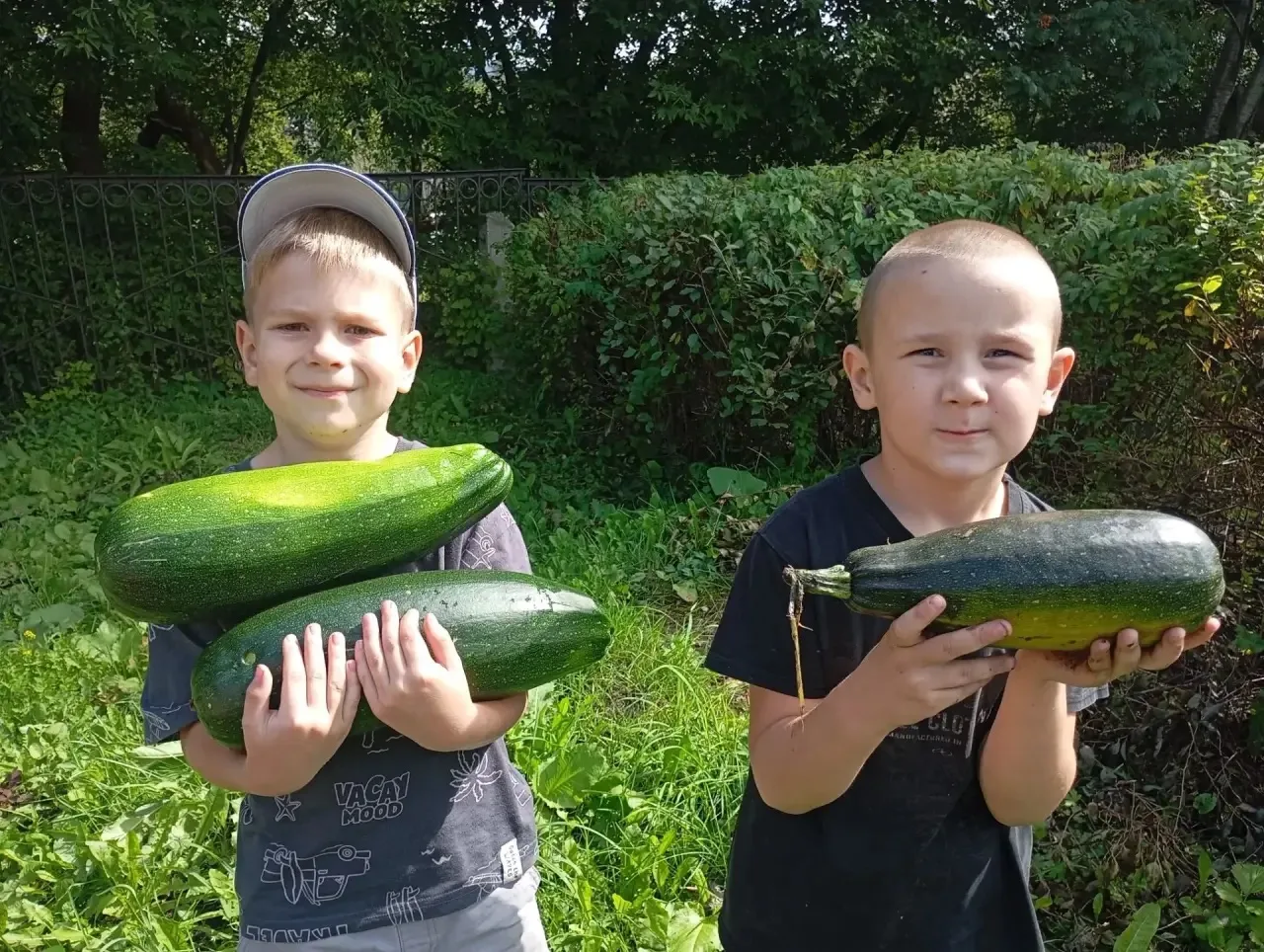 🌱🌼 В нашем детском саду продолжается реализация дополнительной общеразвивающей програ...