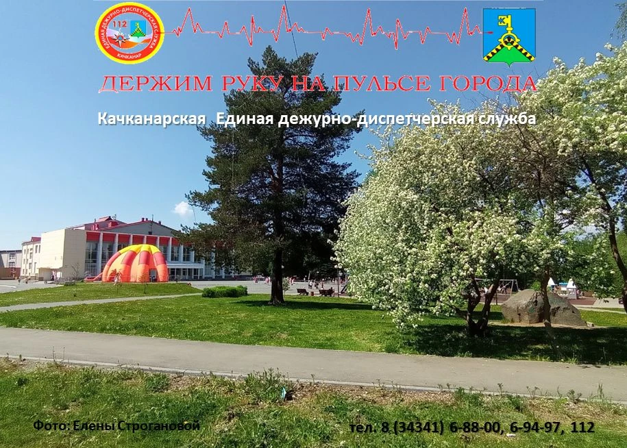 Сводка происшествий на территории Качканарского муниципального округа за сутки (с 08:45...