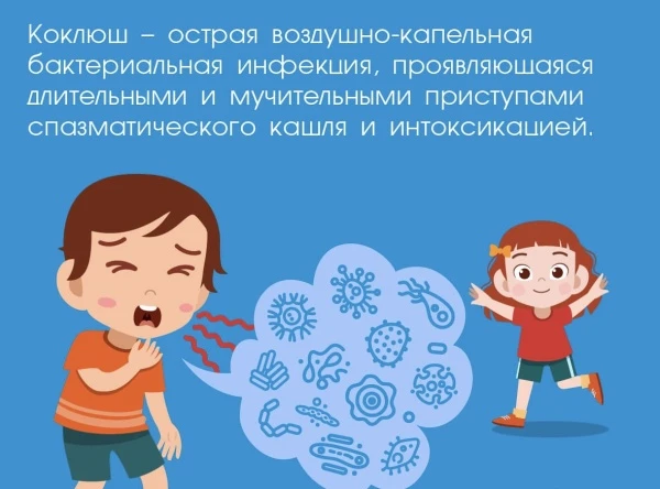 Коклюш (Pertussis) — это крайне заразная респираторная инфекция, вызываемая бактерией Bordetella per