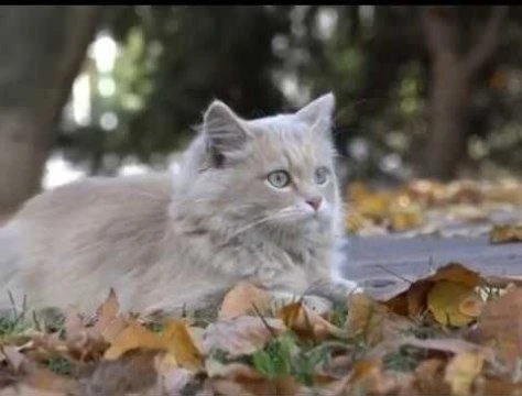 Доброе воскресное утро, Старый Оскол! ❤️