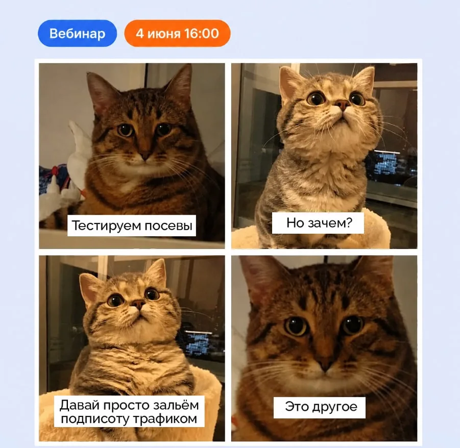 👉 У тебя есть ровно 15 минут, чтобы попасть на наш совместный эфир с официальными представителями V