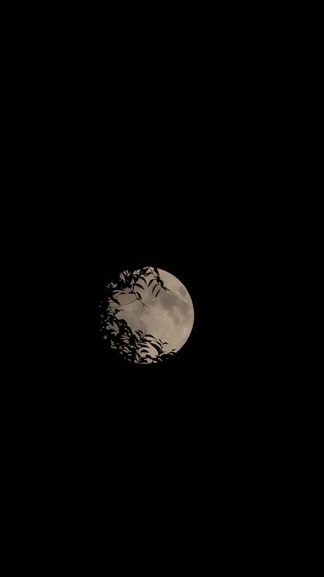 📸🌕