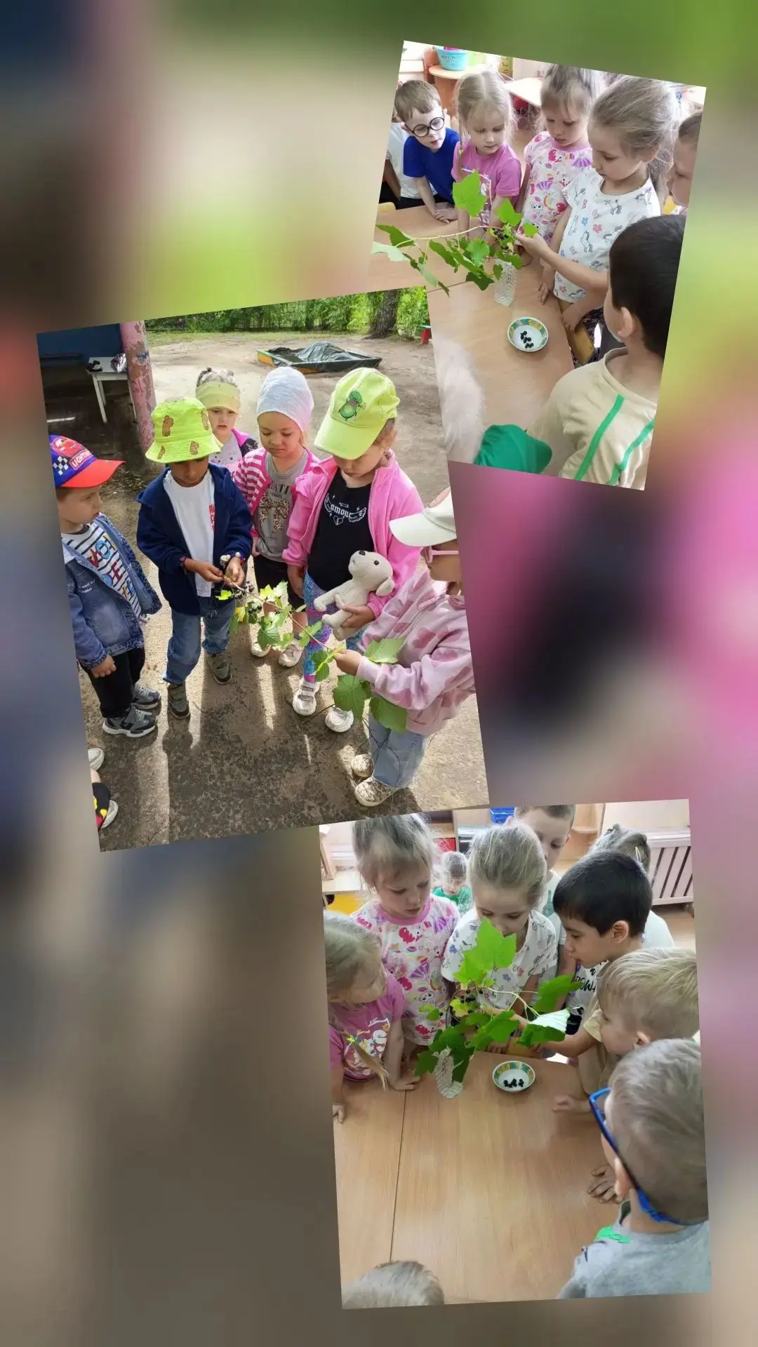 14 Июля – День Смородины! Ягодное Настроение в Нашем Саду! 🍇Сегодня, 14 июля, мы отмечаем самый вку