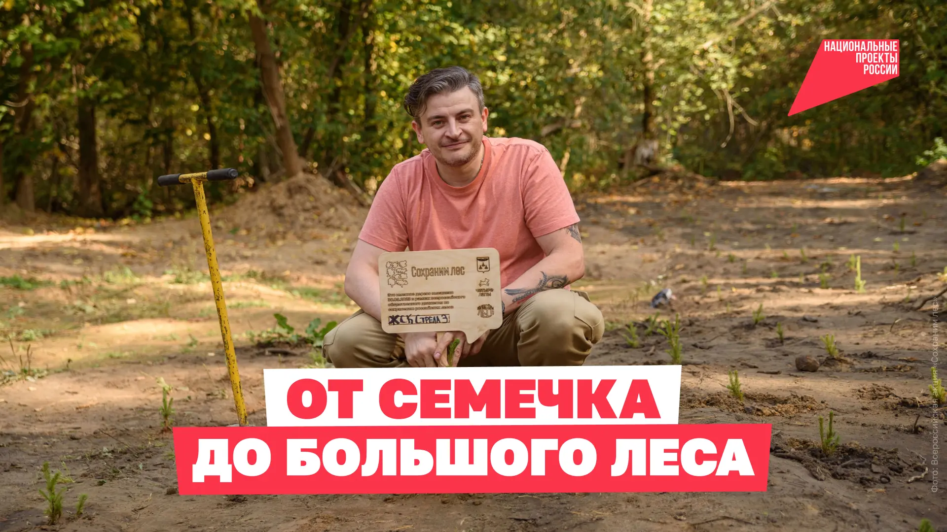 🌱 Как вырастить лес с нуля?