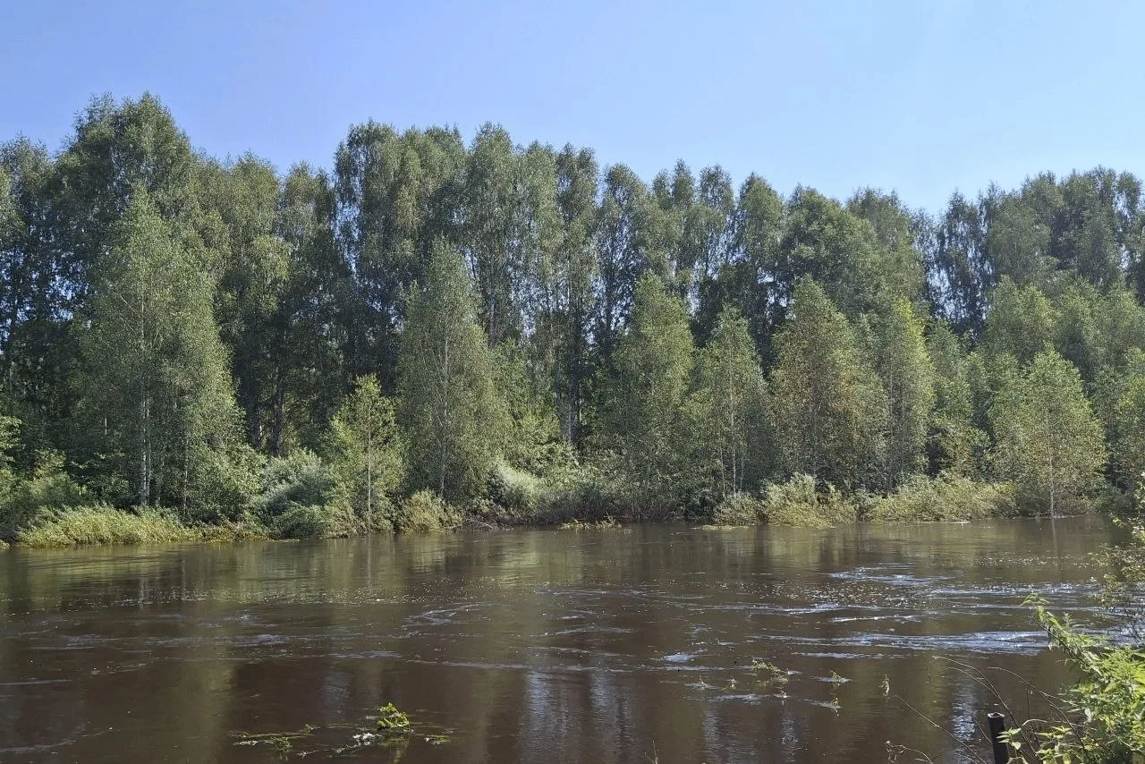⚠️В Первоуральске предупредили об опасности на водоёмах: из‑за паводка в водоёмах муниципалитета обр