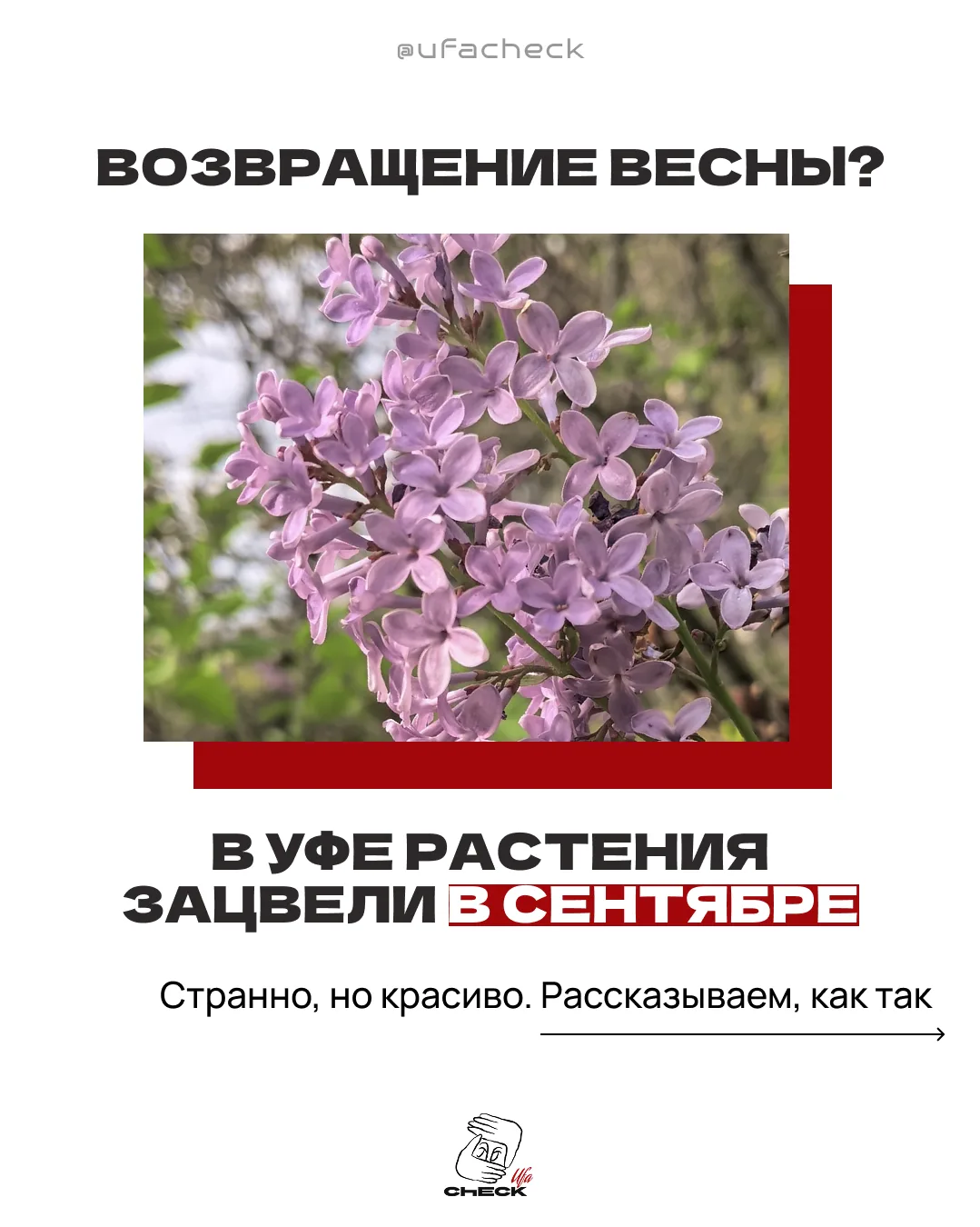 В Уфе повторно зацвели растения!