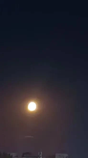 Кусочек сыра 🧀 на небе 🌕

От подписчика

✅ Жители Теплака в МАХ 

📸Предложить свой пост
Обсудить 