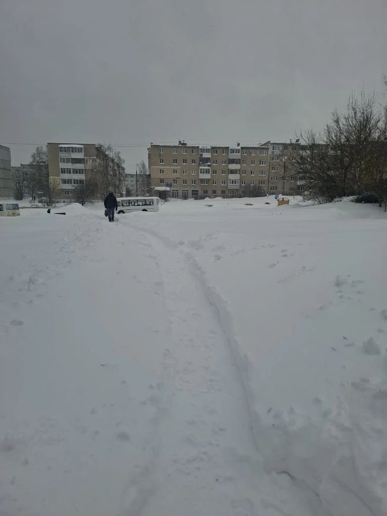 Хорошие новости!
Территория детского сада   очищена, подходы к калиткам обеспечены со стороны "остан