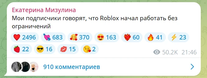 Roblox разблокирован в России, сообщила Мизулина.