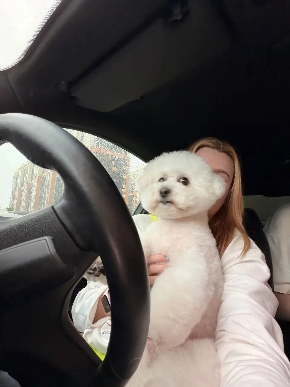 🐶