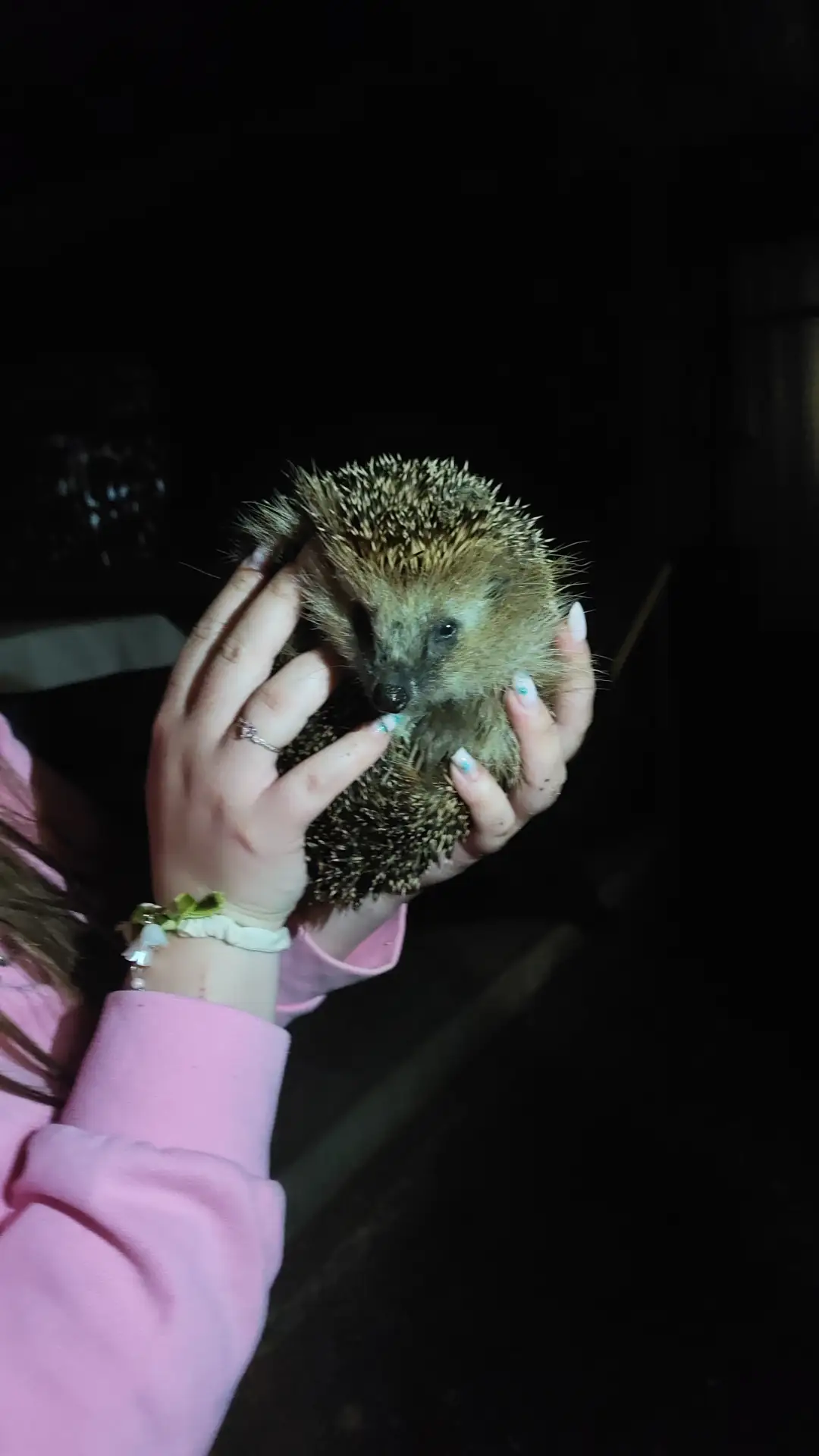 🦔