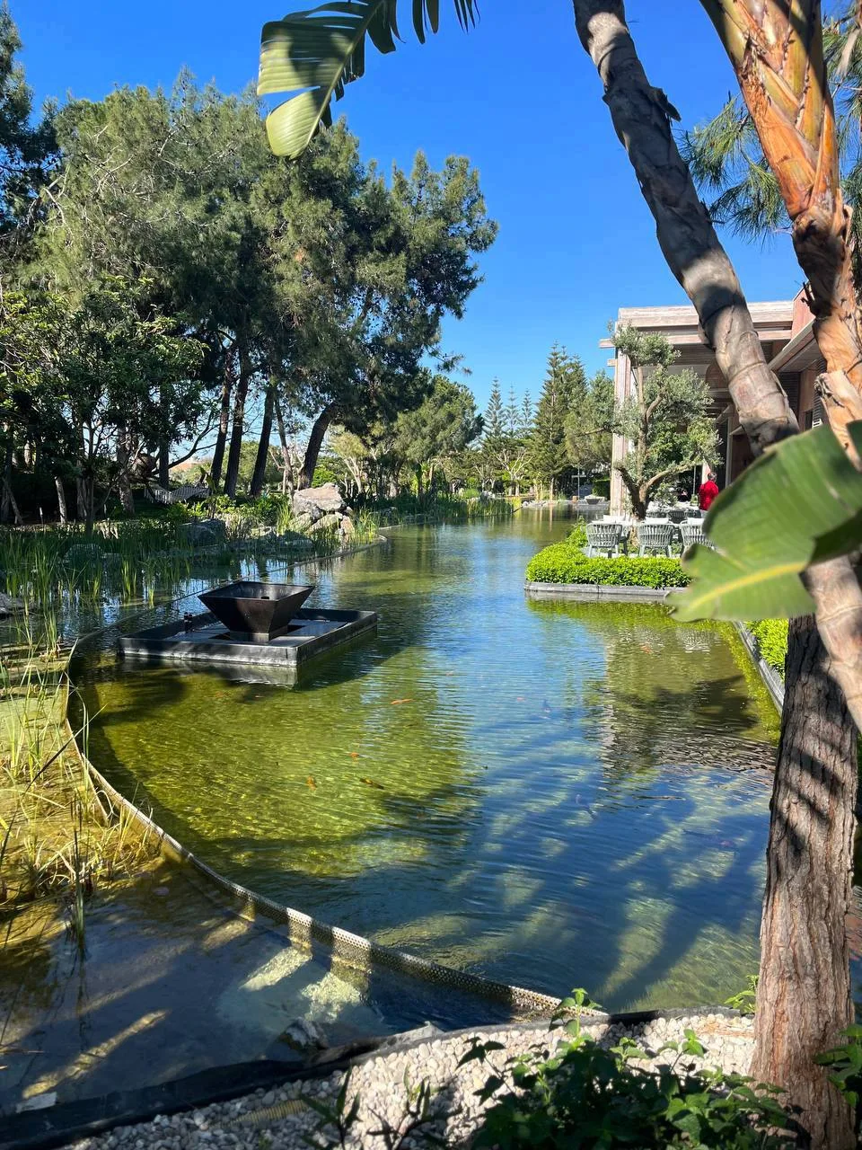 Фестивальный сезон в Ela Excellence Resort Belek 🇹🇷✨