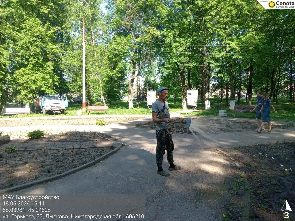 🌺Цветочные клумбы города оживают.
