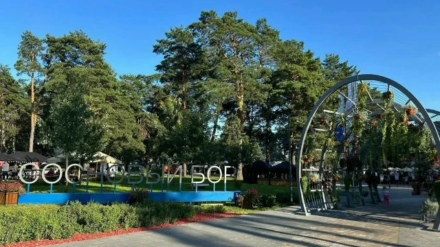Итоги очередного сезона проекта "Лето в Подмосковье" подведут в Озёрах: в субботу жител...