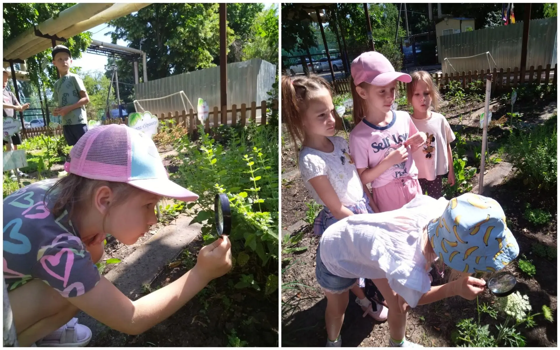 🔍Сегодня в группе "Светлячки" день исследований! 

🌿Мы провели познавательную беседу на тему роста