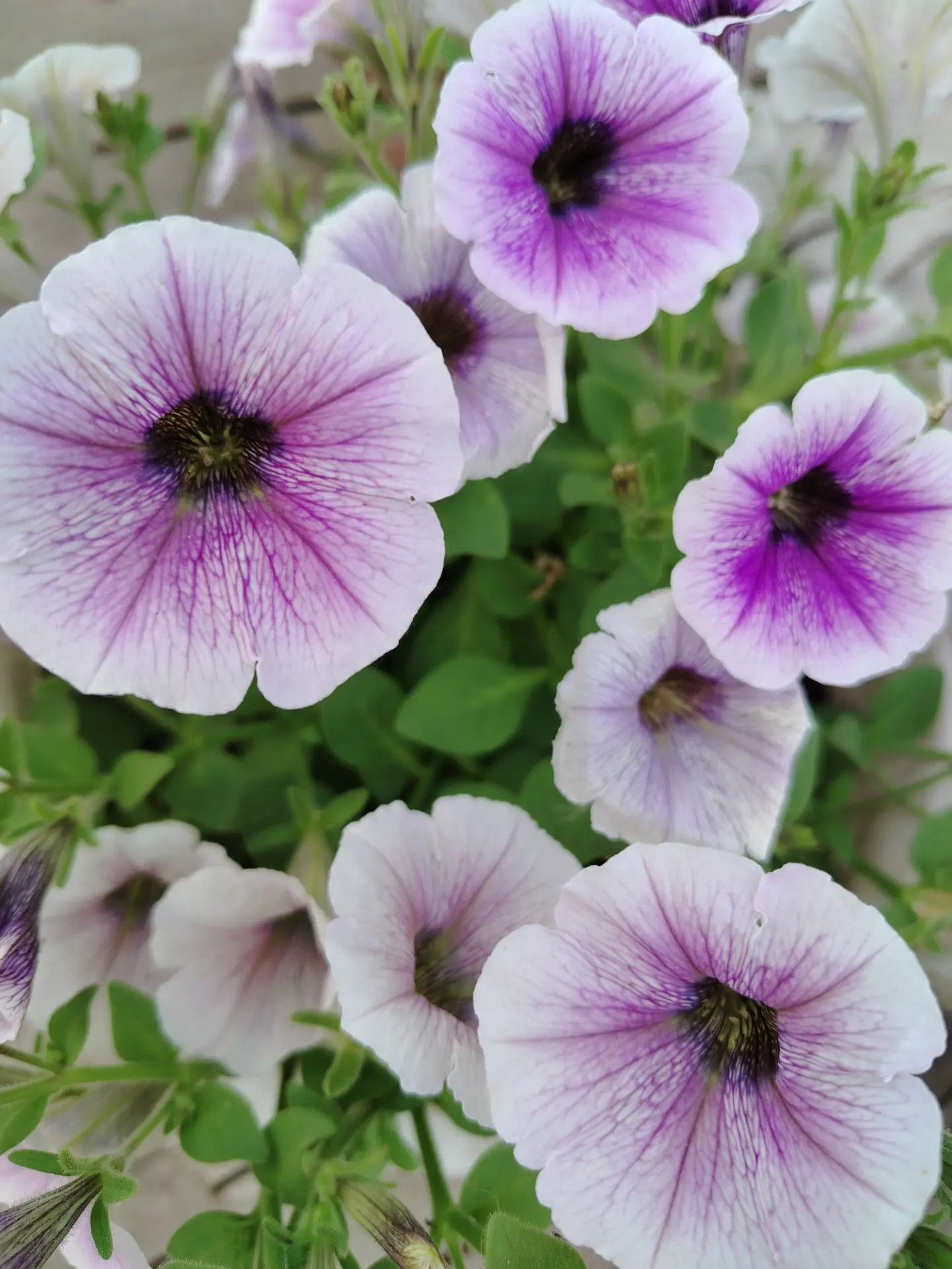 Доброе утро, друзья! 🌺

Желаем вам бодрого начала недели и продуктивных дней! ✨

Кстати, в этот ден