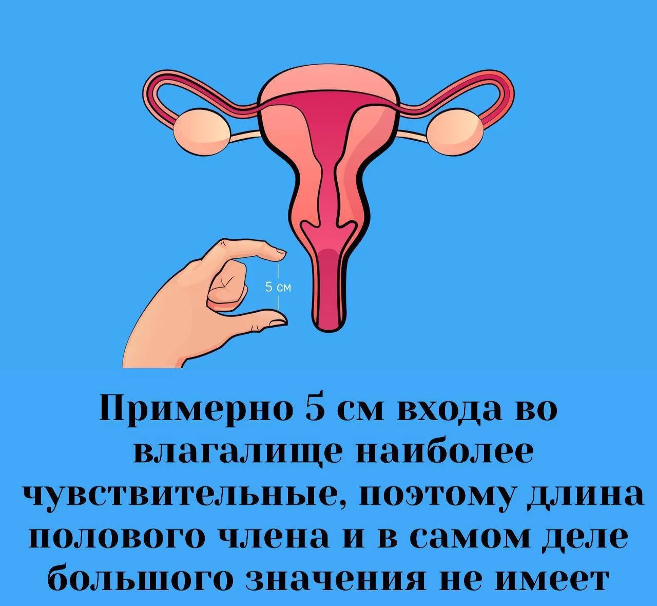 Сексология