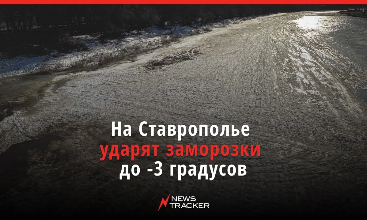 ❄️ О серии заморозков предупредили ставропольцев в МЧС — температура опустится ниже нул...