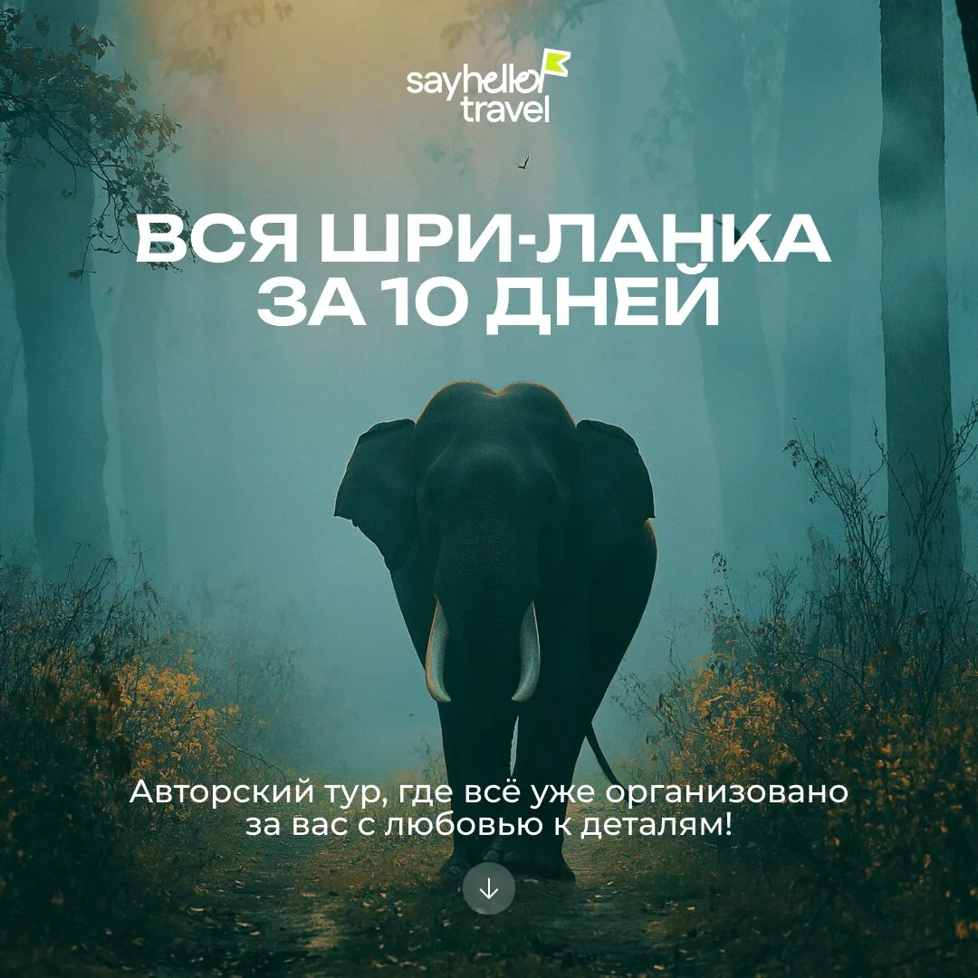 Тур на Шри-Ланку 2027 на 10 дней. Все уже организовано