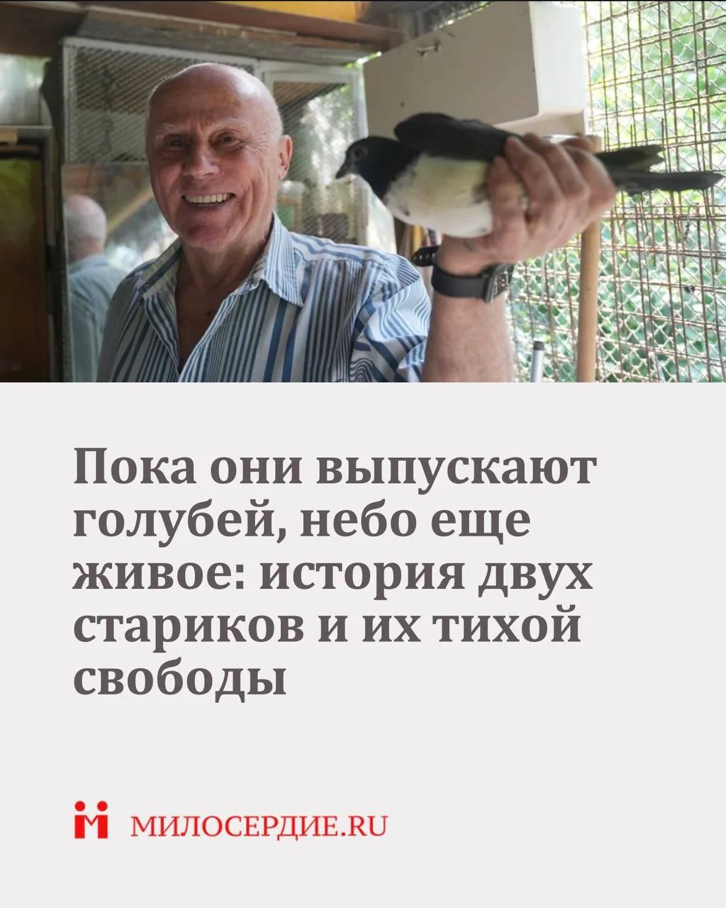 Николаю Николаевичу и Сергею Ивановичу уже за восемьдесят. Один поднимается в старую го...