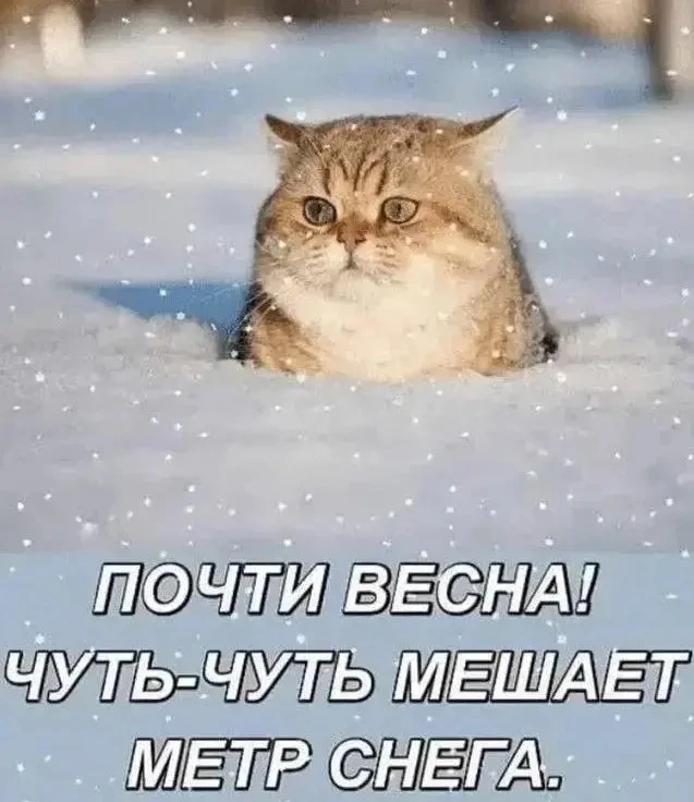 #праздниккнамприходит