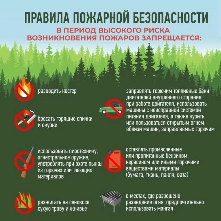 Сухая трава, жара и неосторожное обращение с огнём могут привести к серьёзным последств...