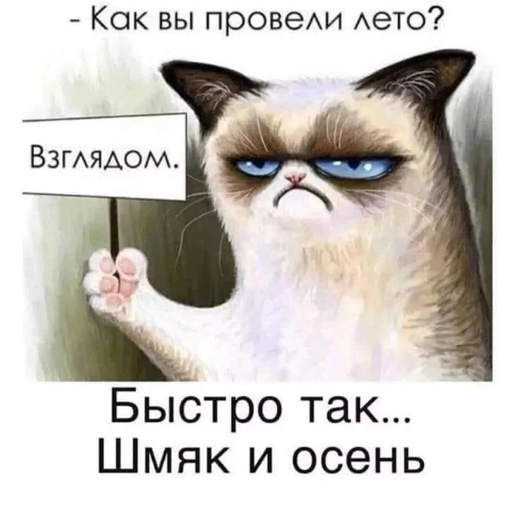 — Как вы провели лето?