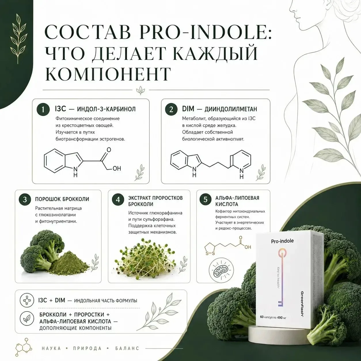 СОСТАВ PRO-INDOLE: ЧТО ДЕЛАЕТ КАЖДЫЙ КОМПОНЕНТ