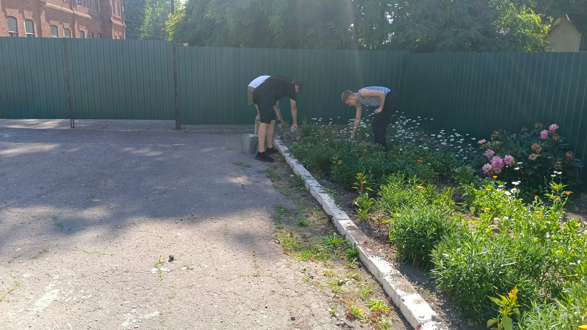 Лагерь труда и отдыха продолжает свою работу. Сегодня ребята трудились на пришкольном участке, плели