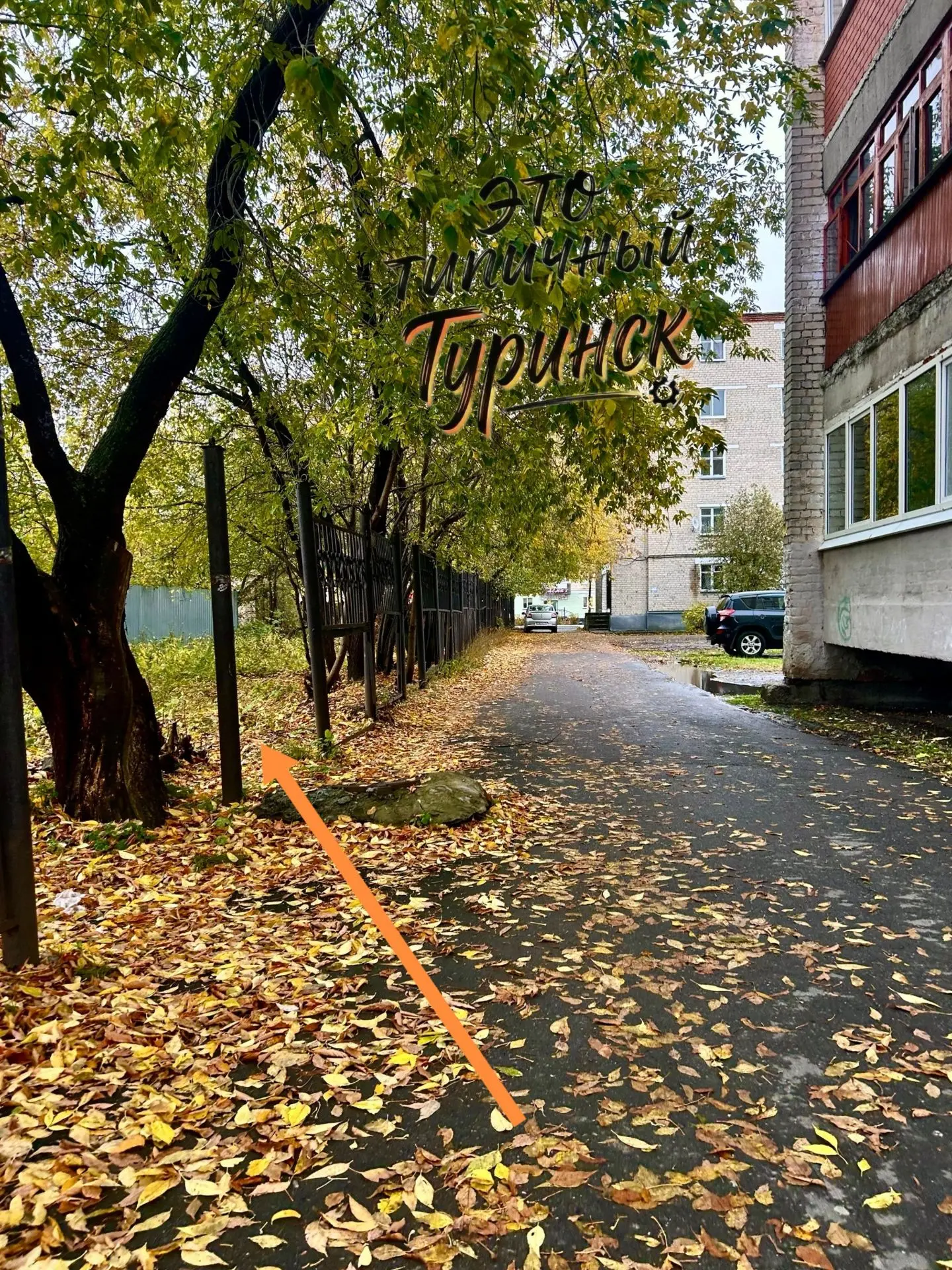 Забор на железо что ли сдаю потихоньку... Скоро совсем разворуют...