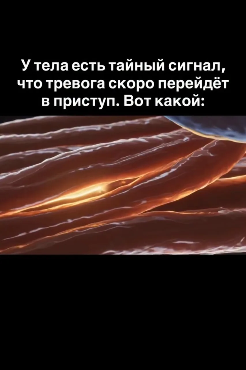 Приступы тревоги принято считать внезапными. Сидишь, всё спокойно, и вдруг накрывает. Т...