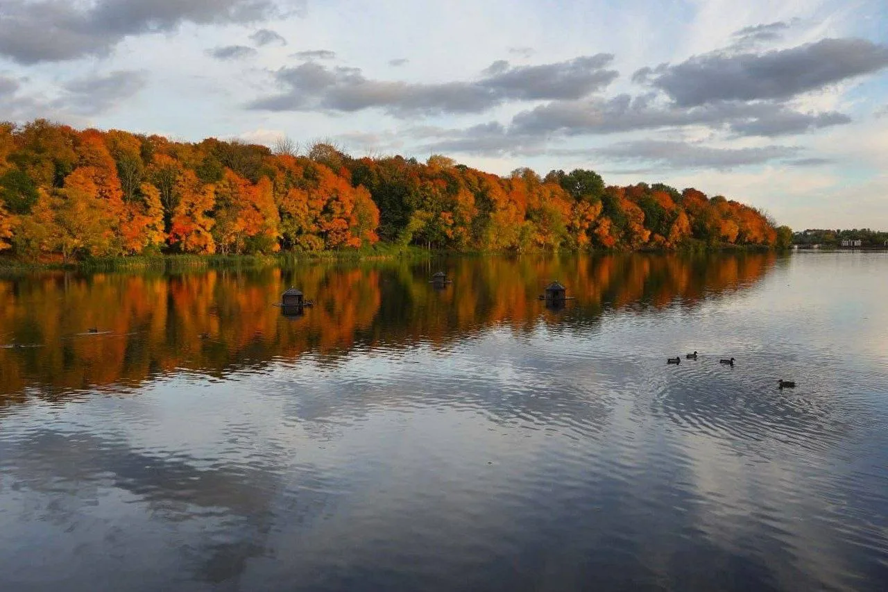 🍁 Тульская осень радует красками