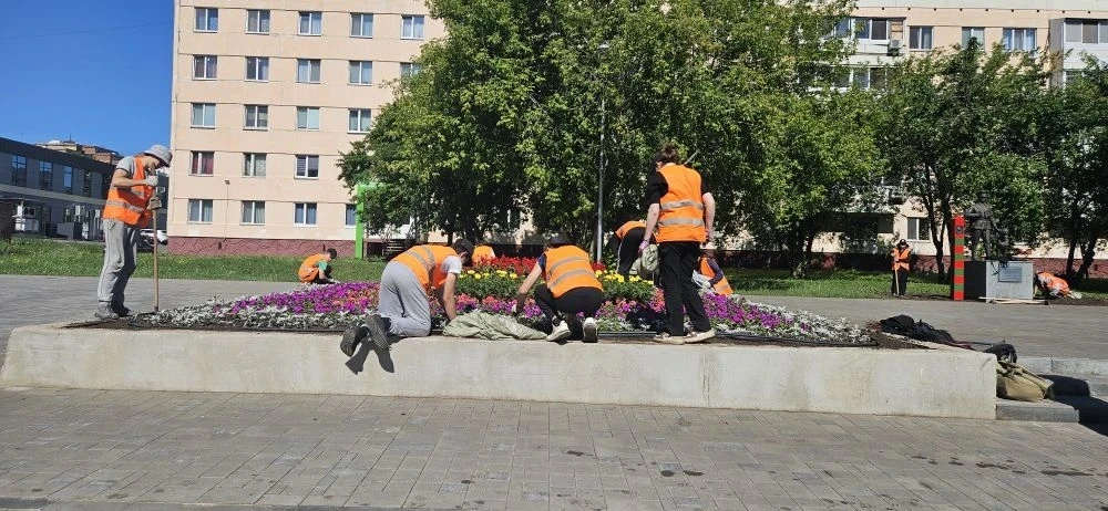 Сегодня, 15 июня, участники лагеря труда и отдыха «Дружба» провели экологическую акцию возле памятни