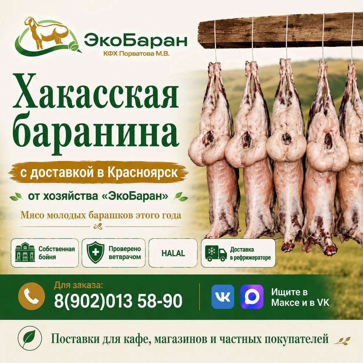 Доставляем в Красноярск свежую баранину напрямую с нашей фермы «ЭкоБаран» в Хакасии.