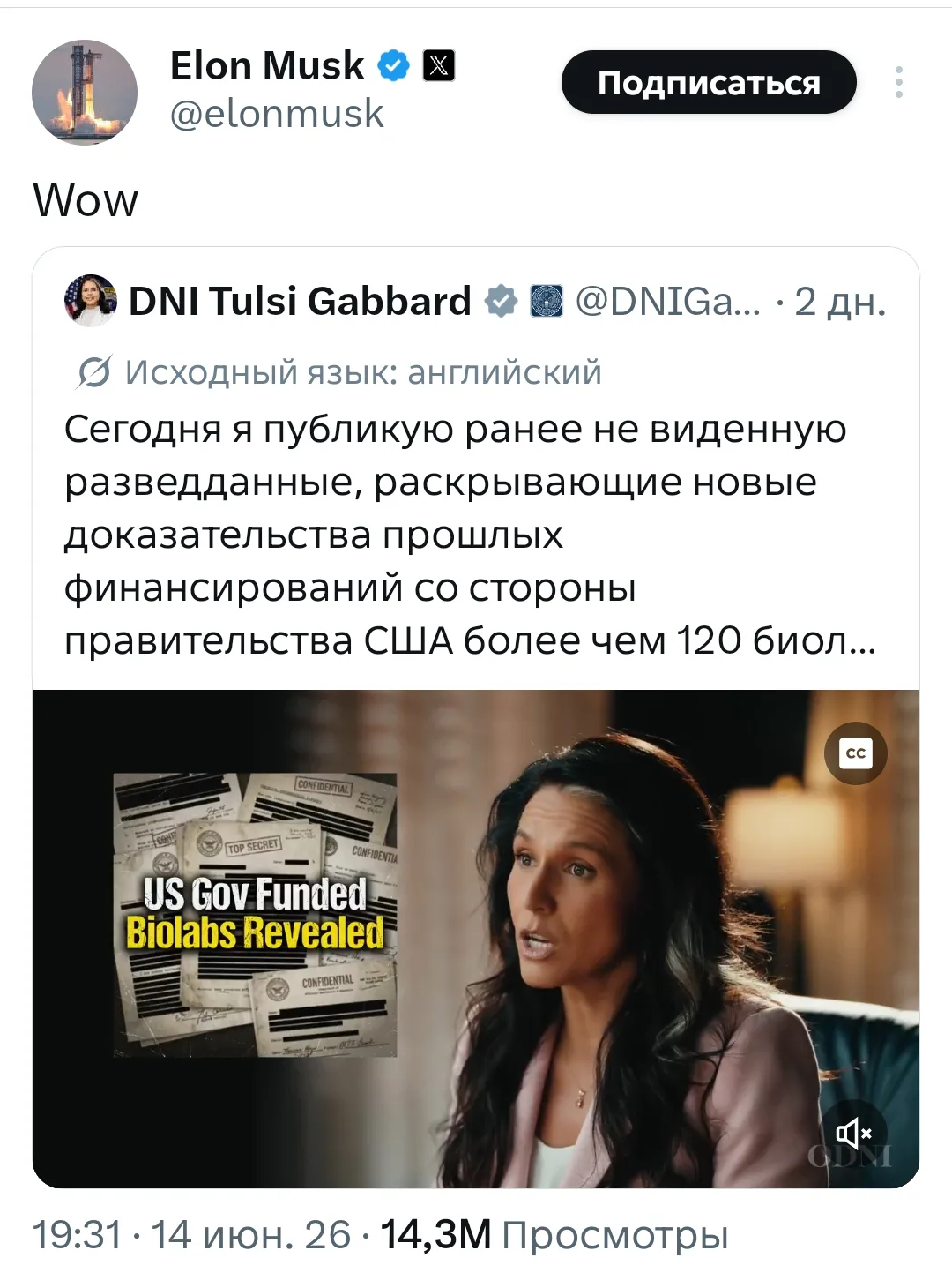 "Ого!", - Илон Маск прокомментировал видео директора Национальной разведки США Тулси Габбард о финан