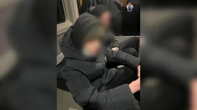 Два тюменских школьника получили срок за попытку совершить теракт
