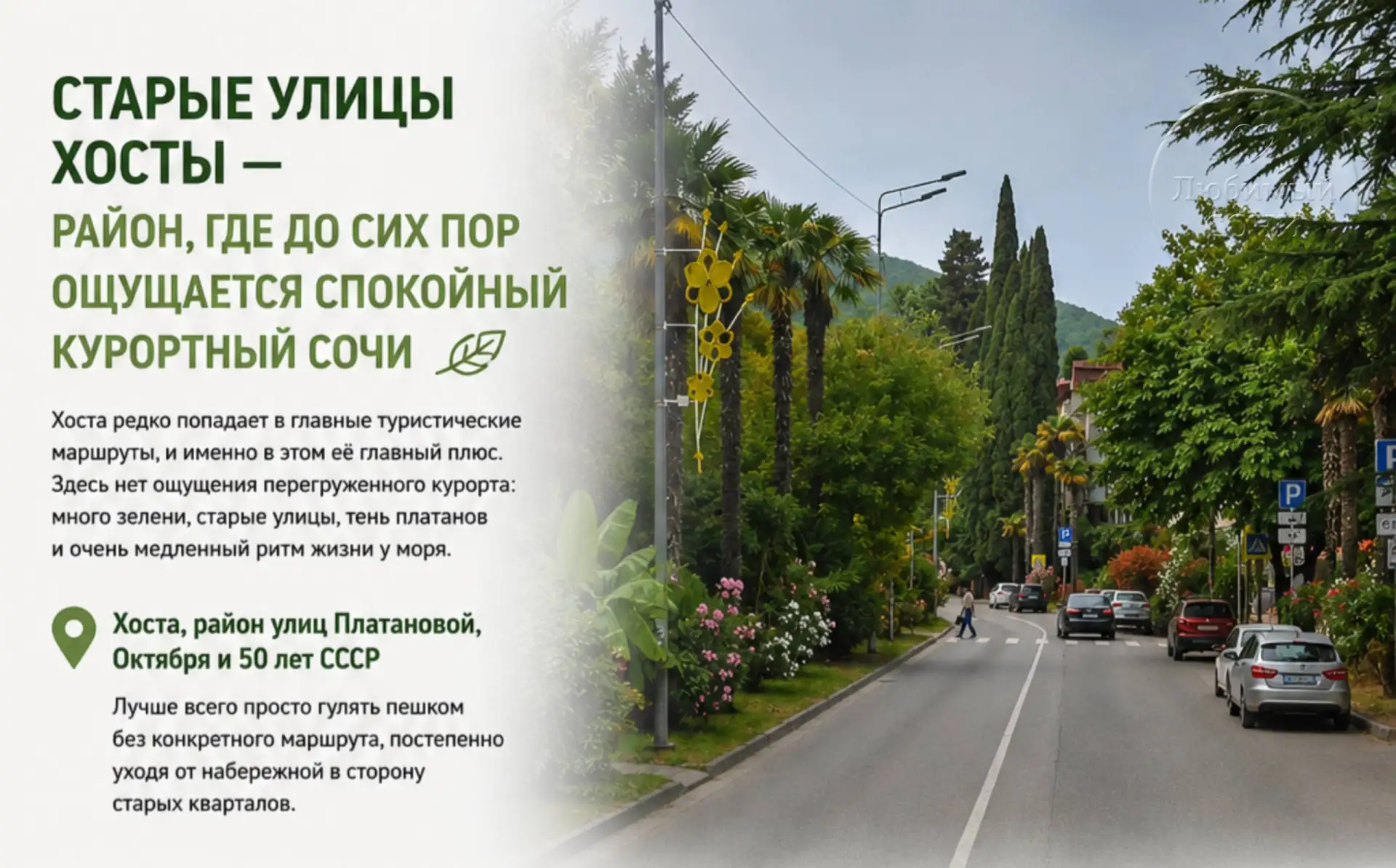 Старые улицы Хосты: место, где до сих пор ощущается старый курортный Сочи

Хоста редко попадает в гл