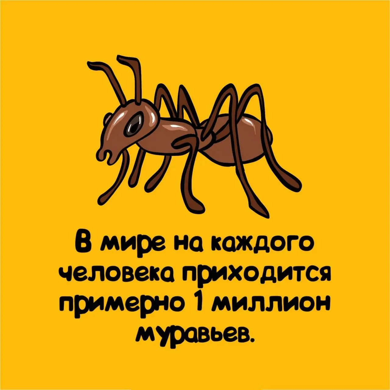 Ставь ❤️, если не знал этого факта, и подписывайся — впереди ещё много открытий!