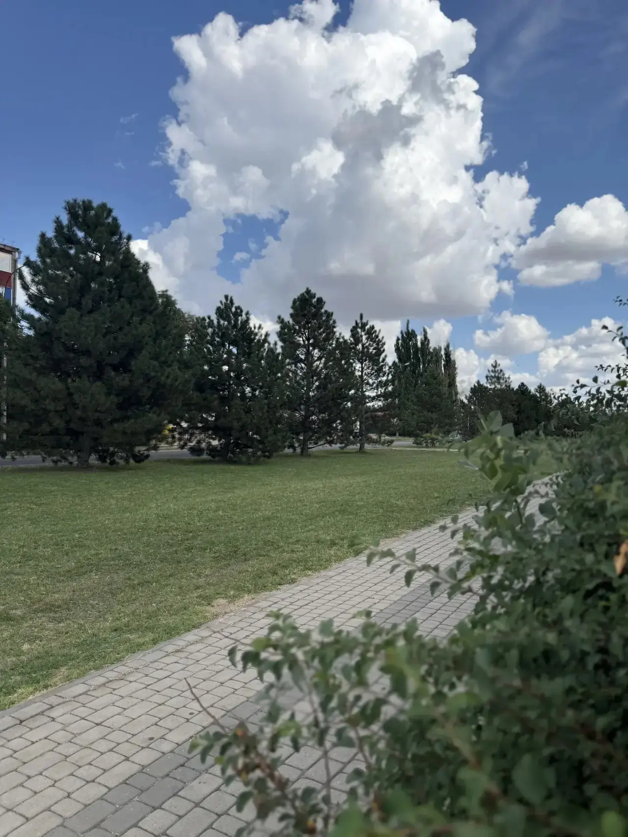 Доброе утро #Тихорецкийрайон