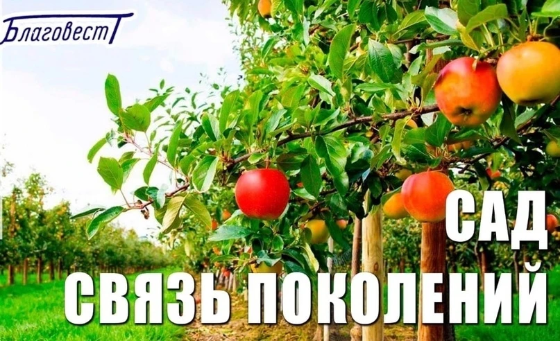 Университет принял участие во Всероссийской Акции «Сад – Связь поколений»