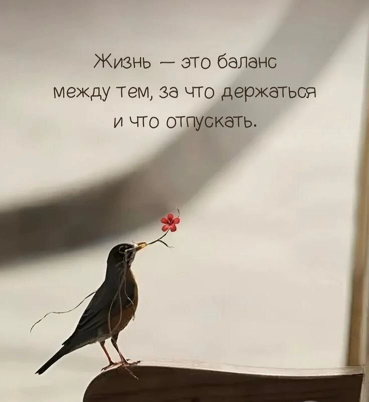 Народная мудрость
Все каналы
