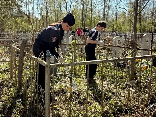 В Волгореченске полицейские приняли участие в наведении порядка около захоронений ветеранов войны.  