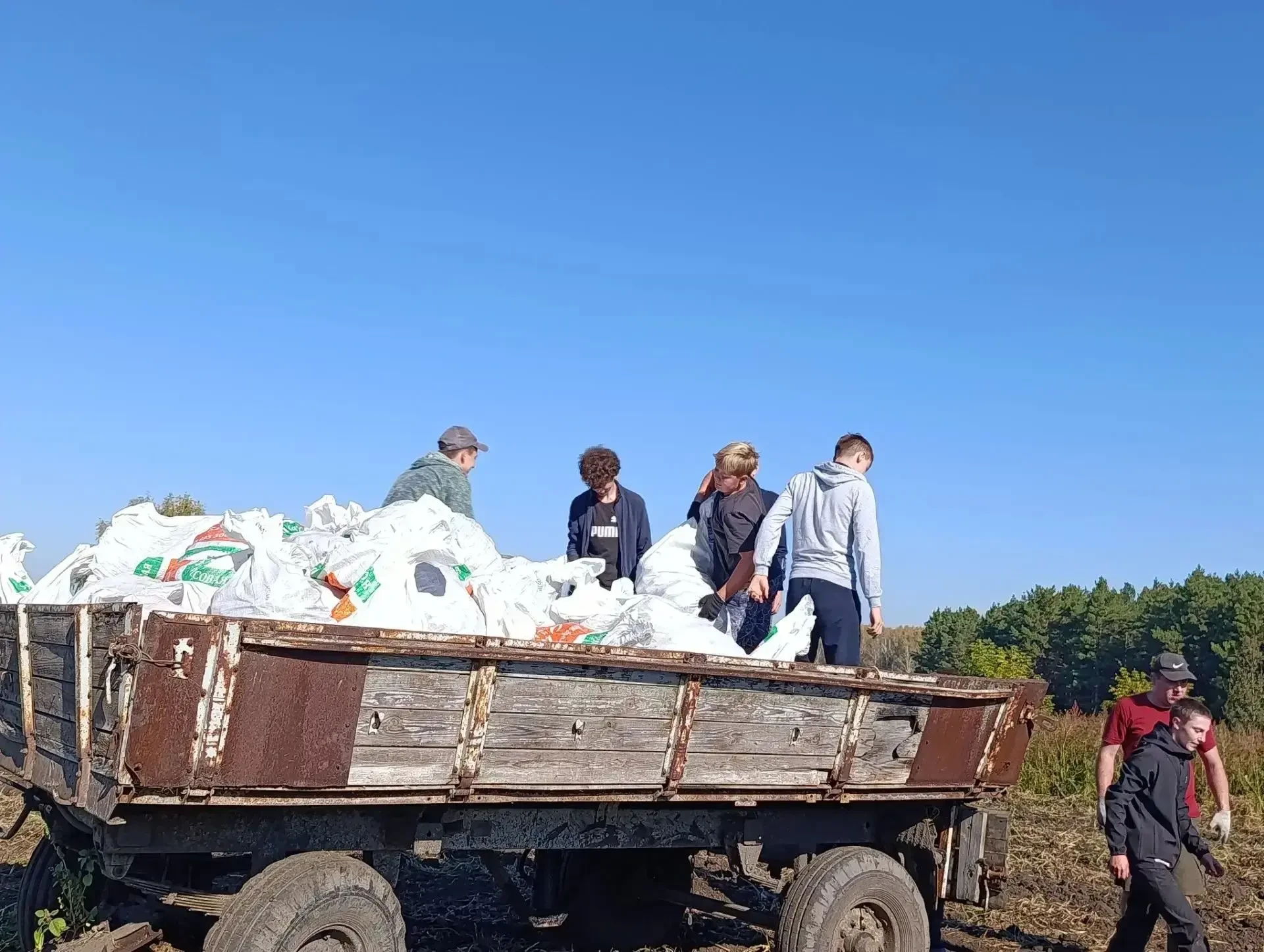 🥔 В школах нашего округа прошла уборка картофеля!