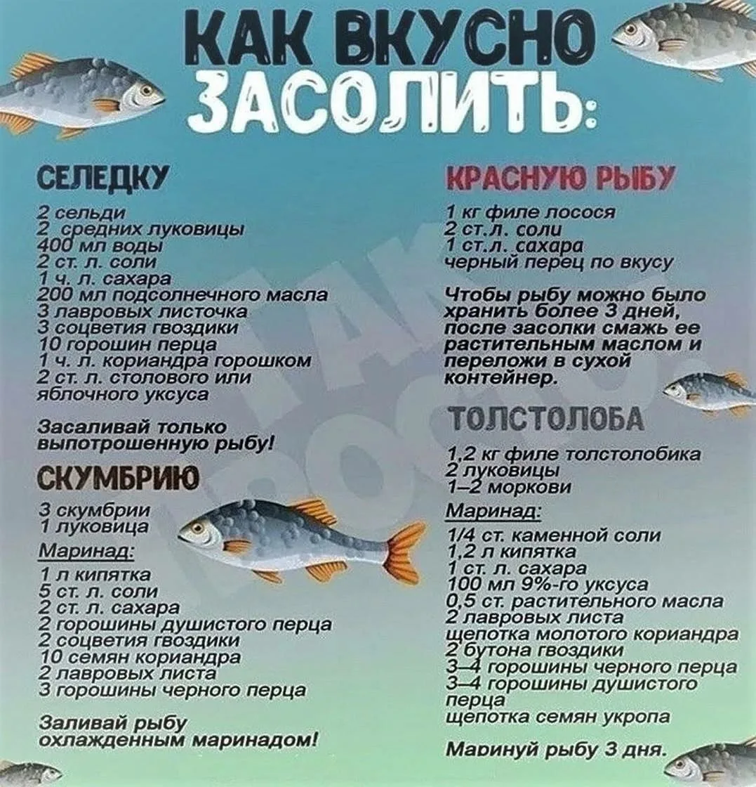 Засолить рыбу по этим рецептам проще некуда! 🔥