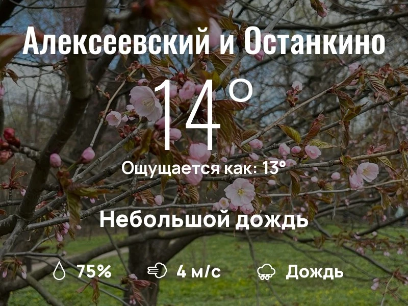 Что с погодой в районе ВДНХ?

Одевайтесь по погоде, берегите себя!
Доброго дня, соседи!

#погоданара