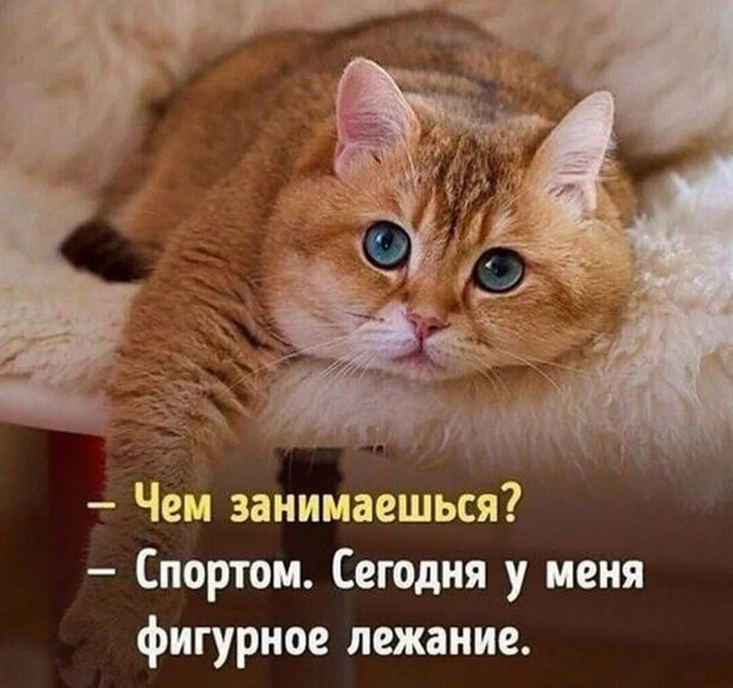 Очень увлекательный вид спорта 😄

Искусство близости | психология